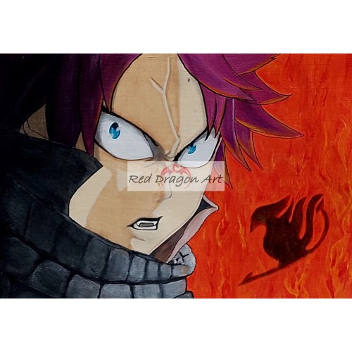 Natsu Dragneel Canvas Print